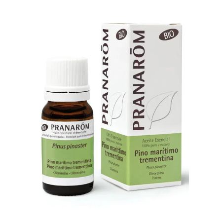 Huile Essentielle De Pin Maritime Térébenthine Bio 10ml