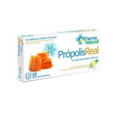 Propolis Real 10 flacons Ynsadiet