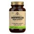 Solgar Spf Boswellia-Resin Extract 60 Gélules