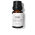 Huile Essentielle De Gingembre Frais - 10 Ml