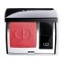 Dior Rouge Longwear Couture Rouge 6G