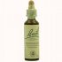 Bach 04 Centaury 20Ml