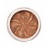Lily Lolo Bronze Sparkle Sombra De Ojos 2,5G