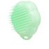 Brosse De Toilettage Pet Teezer Cat - 1 U