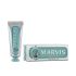 Anise Mint Toothpaste - 25 Ml