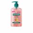 Savon Antibactérien Pour Les Mains Sanytol - 250 Ml