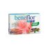 Santiveri Beneflor Antacid 10 Comprimés