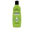 Foresan W.C. Concentrated Air Freshener - 125 Ml