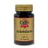 Obire Arandano 1000 Mg 60 Caps