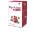Cysticlean Classic 240 Mg Gélules Pac Et Canneberge - 60 U