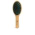 Brosse Ovale À Double Poils - 1 U